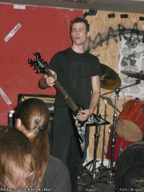 Kerecsenslyom - Fot: Brigusz