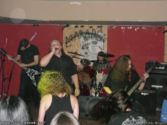  Kerecsenslyom - Fot: Brigusz