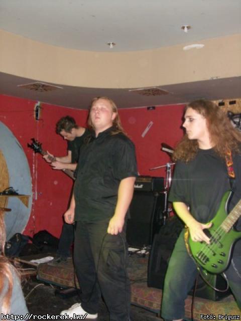  Kerecsenslyom - Fot: Brigusz