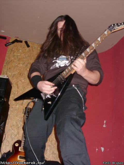  Kerecsenslyom - Fot: Brigusz
