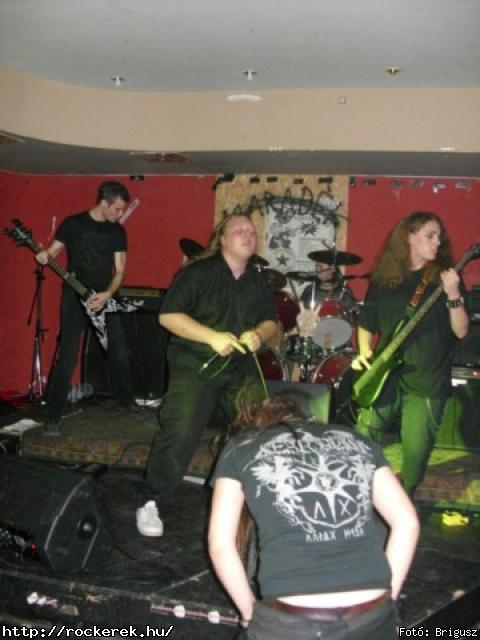  Kerecsenslyom - Fot: Brigusz