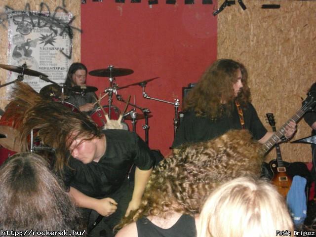  Kerecsenslyom - Fot: Brigusz