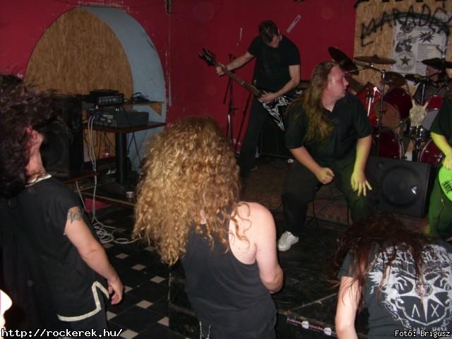  Kerecsenslyom - Fot: Brigusz