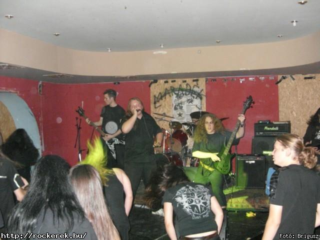  Kerecsenslyom - Fot: Brigusz