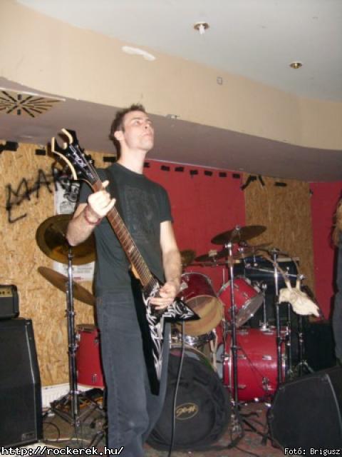 Kerecsenslyom - Fot: Brigusz