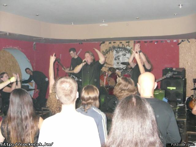  Kerecsenslyom - Fot: Brigusz