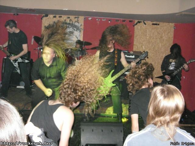  Kerecsenslyom - Fot: Brigusz