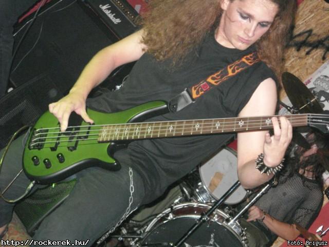  Kerecsenslyom - Fot: Brigusz
