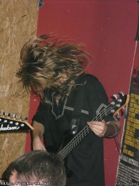  Kerecsenslyom - Fot: Brigusz