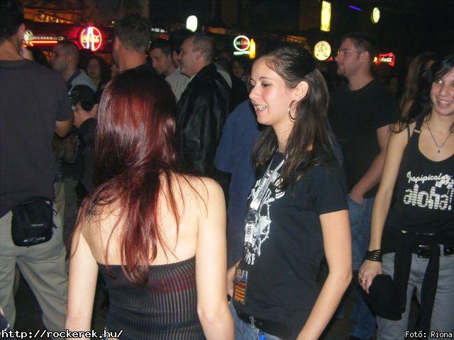  Hollywood Rose - Fot: Riona