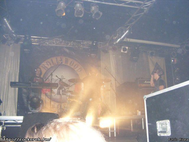  Hollywood Rose - Fot: Riona