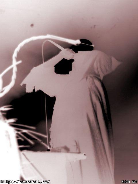  Void ov Voices,  Ulver,  - Fot: Gif