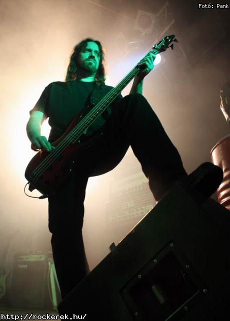  Kerecsenslyom, Nevergreen, Tzmadr - Fot: Pank