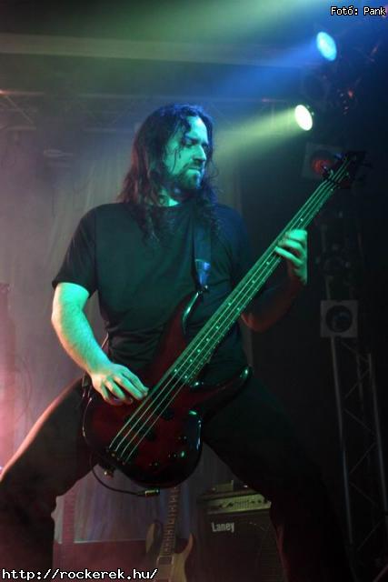  Kerecsenslyom, Nevergreen, Tzmadr - Fot: Pank