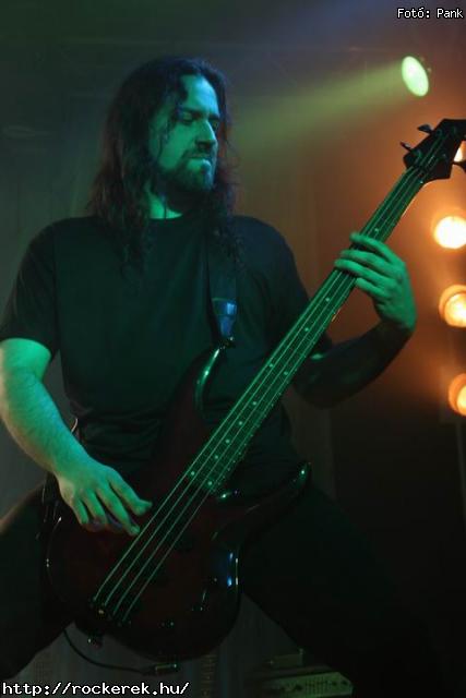  Kerecsenslyom, Nevergreen, Tzmadr - Fot: Pank