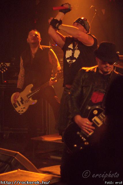  Rocken Dogs,  Hollywood Rose - Fot: erc
