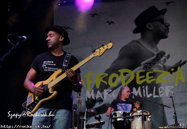  Marcus Miller - Fot: Szapy