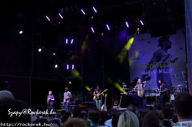  Marcus Miller - Fot: Szapy
