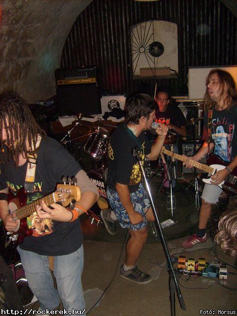  Fly-Tox,  Green Chillers,  Rocken Dogs,  Kerecsen,  Mr. Eddie Krueger,  Vaktltny,  Kpr Sndor Npi Zenekara - Fot: Morsus
