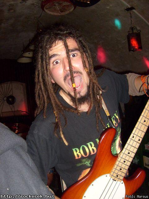  Fly-Tox,  Green Chillers,  Rocken Dogs,  Kerecsen,  Mr. Eddie Krueger,  Vaktltny,  Kpr Sndor Npi Zenekara - Fot: Morsus