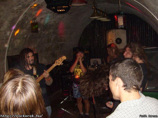  Fly-Tox,  Green Chillers,  Rocken Dogs,  Kerecsen,  Mr. Eddie Krueger,  Vaktltny,  Kpr Sndor Npi Zenekara - Fot: Morsus