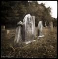 ghent cemetery