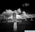 hta018_18_20070221_1437247043