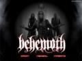 Behemoth