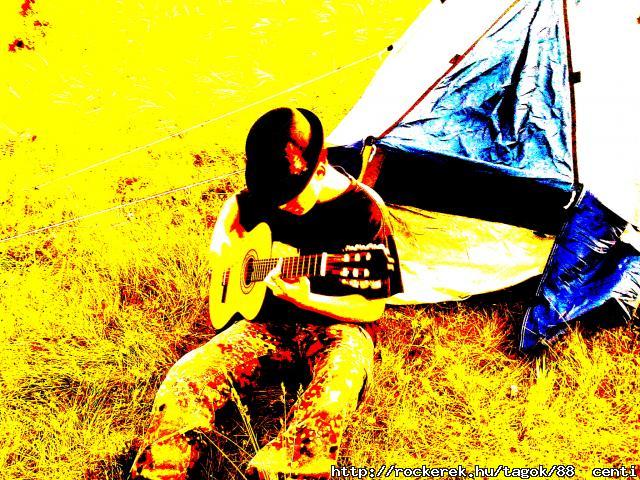 20100528779
