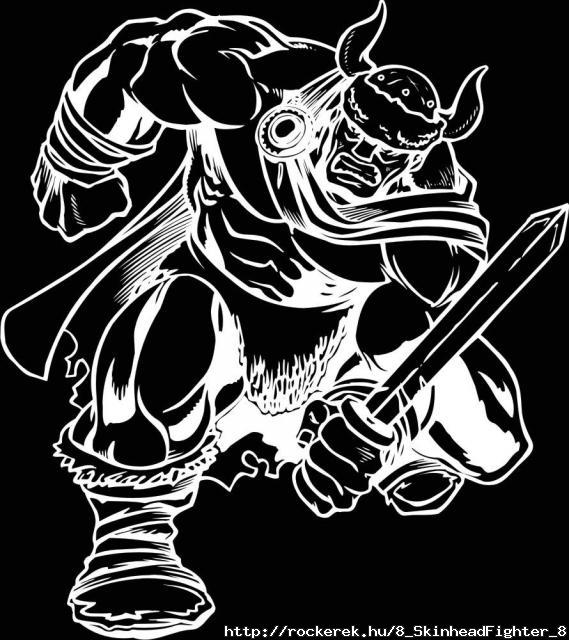 viking2