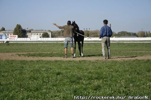 magyaraz