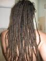 dreadlock
