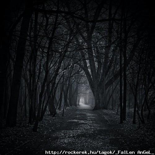 forest