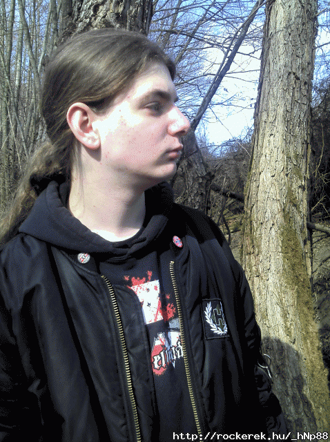 "...the forest kingdom now extends before my sight..."