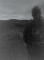 .the sick winds stir the cold dawn.