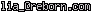 msn