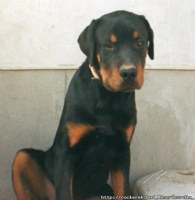 de kis szomor :) 2001