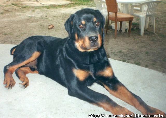 szfinx:) 2001