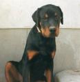 de kis szomor :) 2001