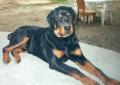 szfinx:) 2001