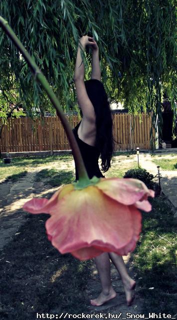 Kedvenc kpem magamrl :)))