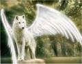 WS7FWCAET50PVCA04NL4MCANTCH4ECAP3W1UHCANV527ACA5G7RE4CAI3Z1BKCAEP5O5MCAPUGOBLCAK2MPXYCA2FLQGDCATX2UAHCA60NL05CABLIALQCA22UIKNCABGZCWMCAA4DS3FCAWDFK6J