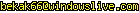 msn