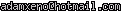 msn
