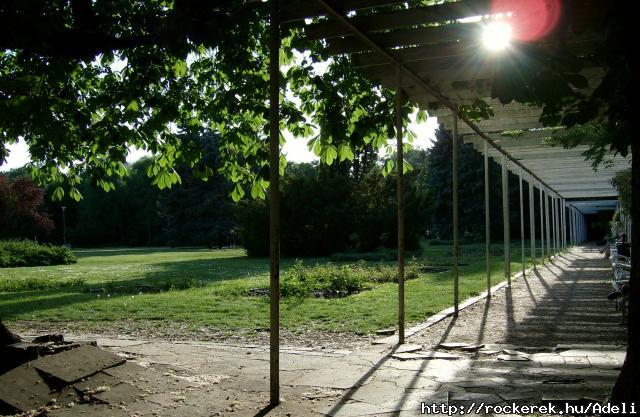 Margit-sziget ahogy n ltom (4.)