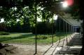 Margit-sziget ahogy n ltom (4.)