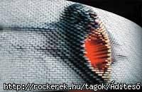 30196
