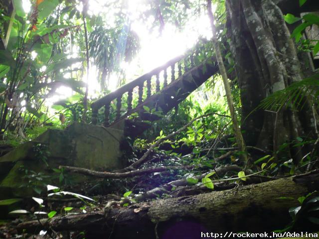 Magic Garden (sajt foto) 2008 Thaifld