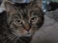 RIP Pck :(