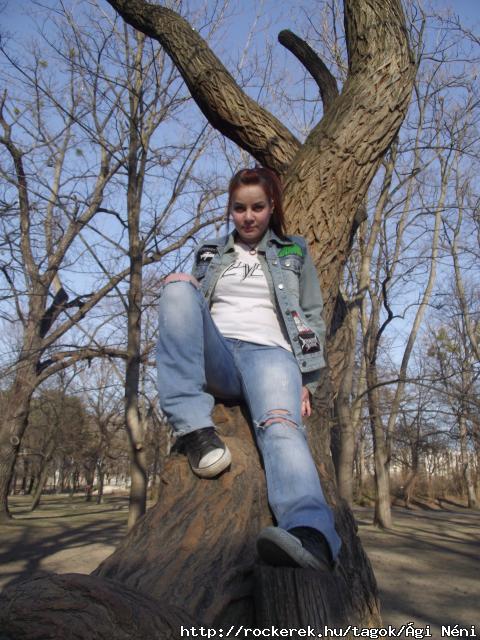 a majom